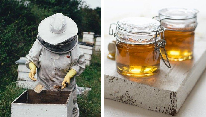 Apicultura din România, amenințată de produsele ucrainiene. Președintele ACA “MADR ar trebui să acorde sprijin și sectorului apicol”