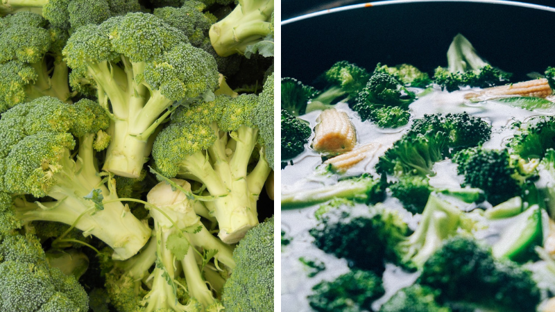 Cum se cultivă broccoli. Sfaturi pentru înființarea culturii, cerințe față de climă, sol, boli și dăunători