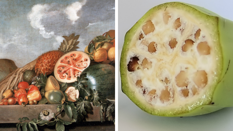 Fructe și legume modificate genetic. Care a fost traseul preistoric al celor mai consumate plante