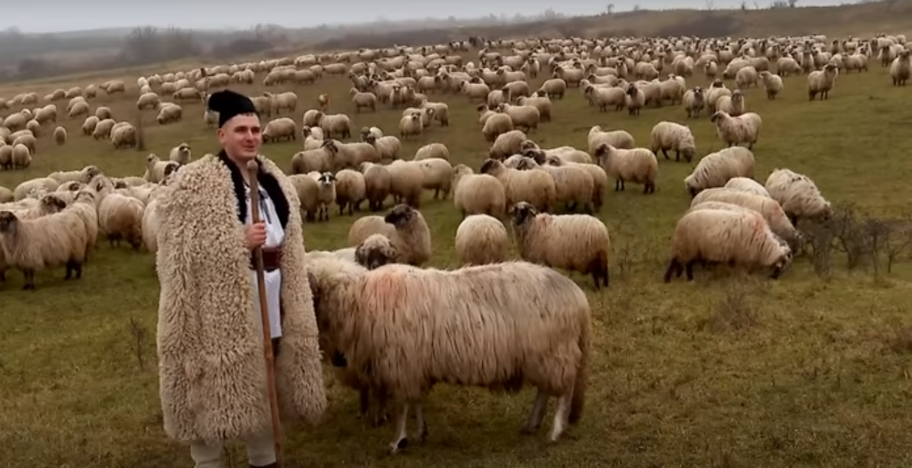 Ștefan Stănuș a cucerit România cu povestea impresionantă de viață: cioban la stână cu 1000 de oi și student la 2 facultăți