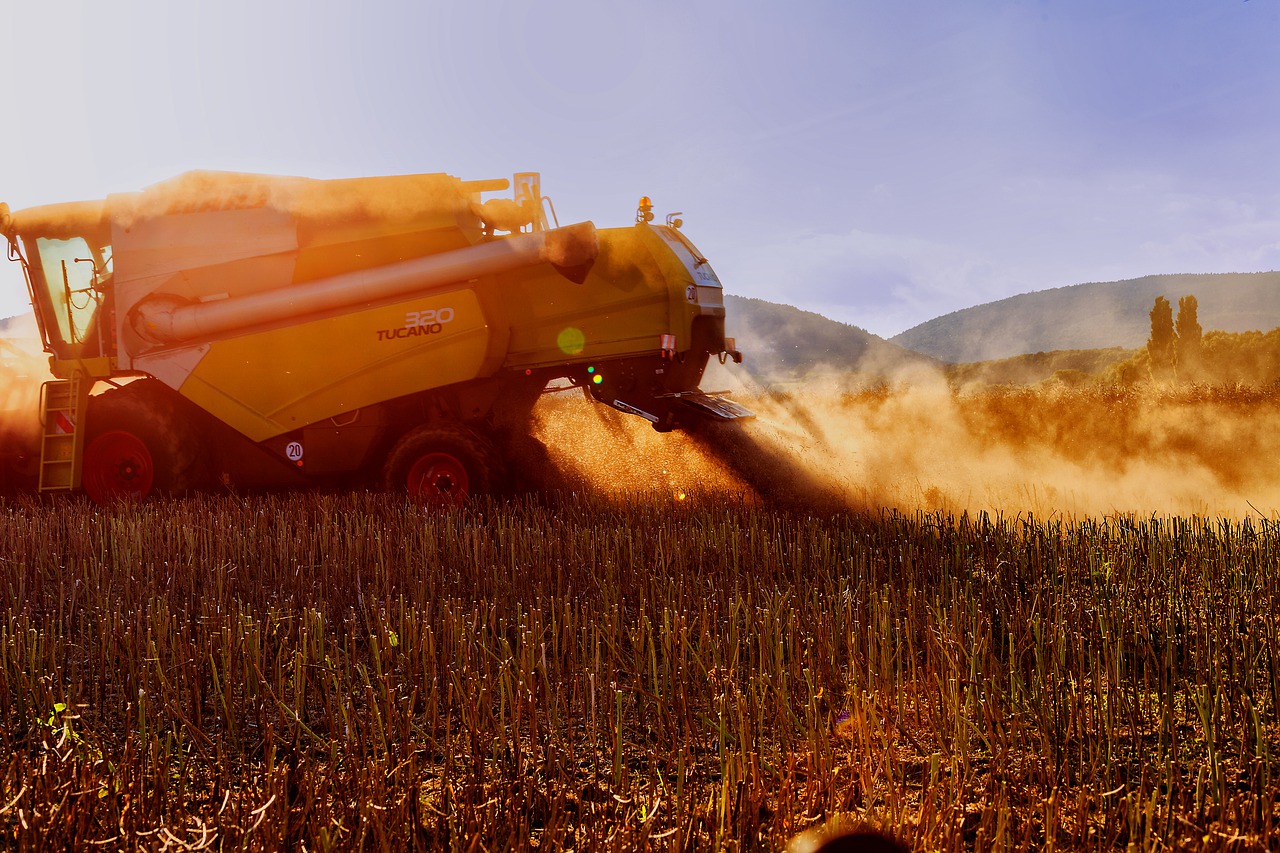 România nu se mai află pe podiumul exporturilor de grâu în UE. Cum a afectat seceta din 2020 tranzacțiile cu cereale