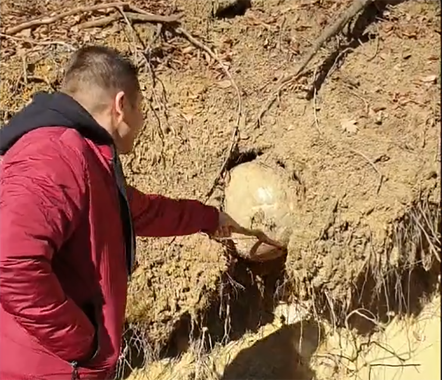 Un român a decoperit ceva ciudat în pământ. Ce a reușit să scoată de acolo