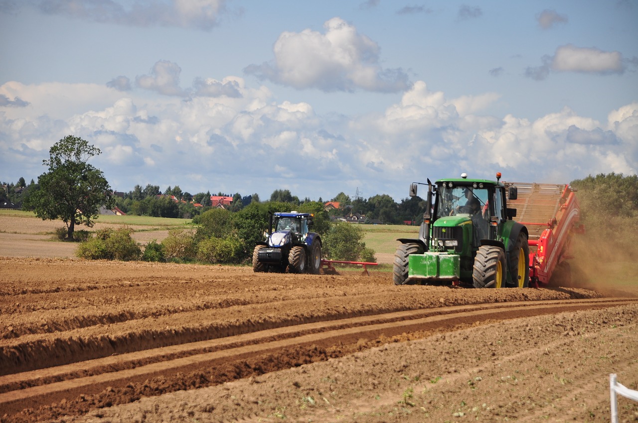 Noua Politică Agricolă Comună: cum se schimbă finanțările în agricultură