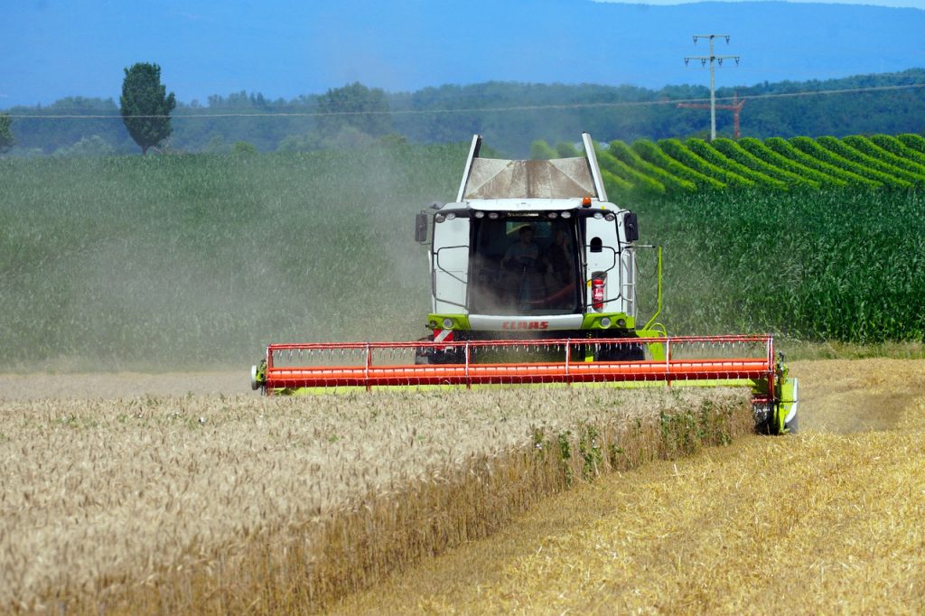 Bursă cereale 2021. Prețuri toamnă 2021 grâu, porumb și orz