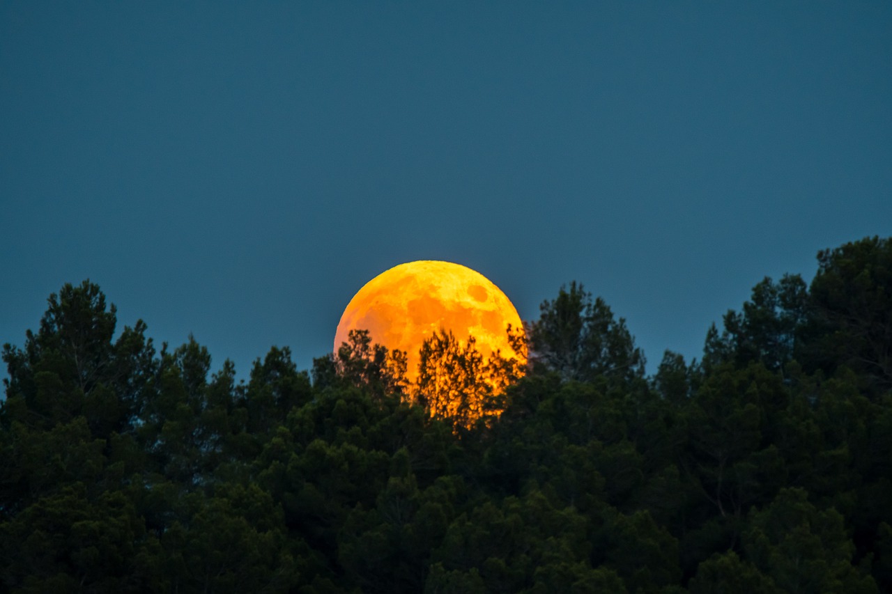 Ce este Luna Recoltei și cum afectează plantele. Tradiții și obiceiuri pentru agricultori