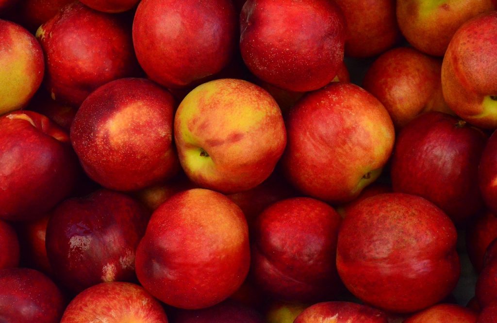 Cum se păstrează merele peste iarnă. Sfaturi de la gospodari