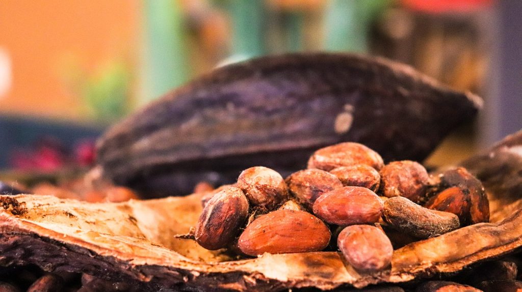 Cum se obține ciocolata. Drumul de la arborele de cacao până la desertul delicios