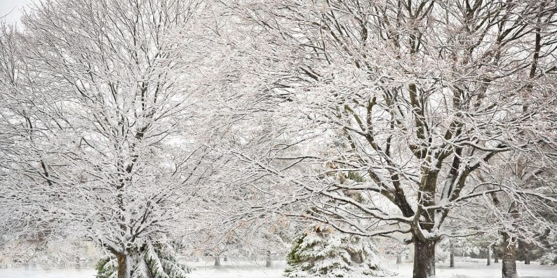 Prognoză meteo 24 - 31 ianuarie 2022 pe regiuni. Unde va ninge în România