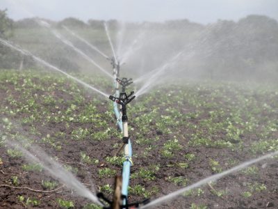 Canalele de irigații, singura salvare a culturilor: Ministerul Agriculturii deschide robinetele de la 1 martie