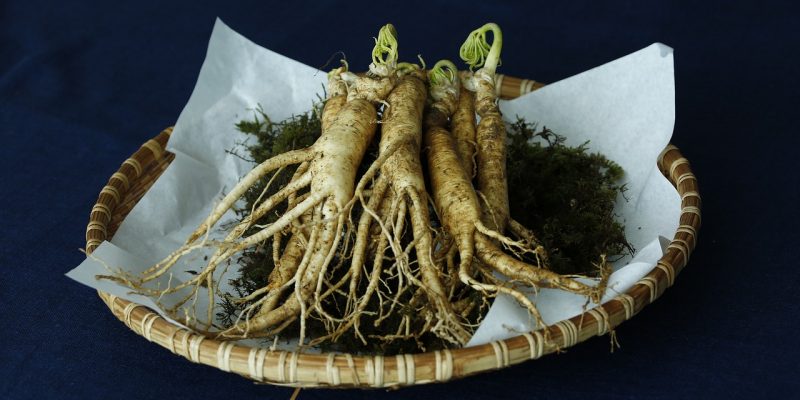 Ginseng, planta minune cu întrebuințări medicinale multiple: Proprietăți nutritive și contraindicații