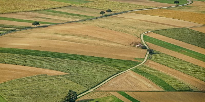 Prețul terenurilor agricole în 2022. Mii de hectare vândute de la începutul anului