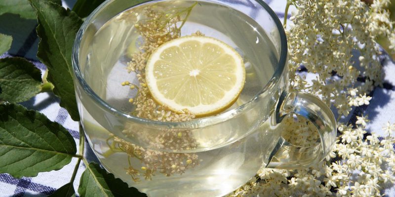 Socata este un remediu natural excelent pentru organism: ajută în curele de slăbire și are proprietăți antiseptice