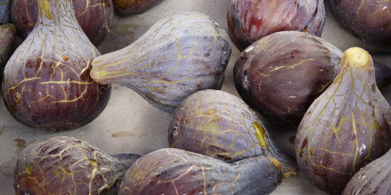 Recoltare smochine. Cum se păstrează fructele proaspete pentru mai mult timp