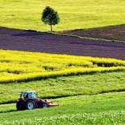 Cât costă un hectar de teren arabil în România în 2022. Care sunt județele cu cele mai scumpe și cele mai ieftine oferte