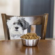 Cum pot depozita corect mâncarea câinelui meu?