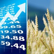 Bursa cerealelor Ianuarie 2023. Prețurile la cereale explodează la început de an