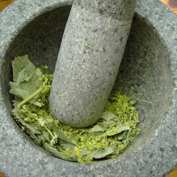 Cum poți obține fertilizator natural din produsele pe care le ai deja acasă: 7 variante simple și de succes