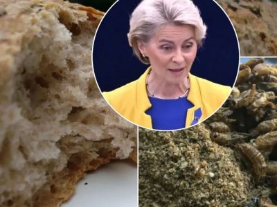 Uniunea Europeană a aprobat făina de greieri ca aliment. Cum poate fi folosită aceasta