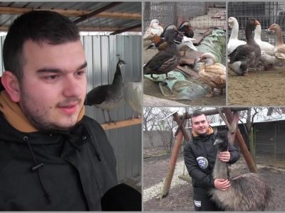 Oul vândut cu 150 de lei bucata. Afacerea cu care a dat lovitura un tânăr de 19 ani din Arad