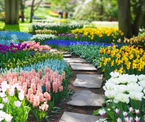 Florile de primăvară pe care vrei să le ai în grădina ta