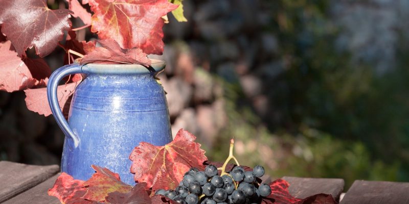 APIA a transmis un termen limită nou pentru sectorul vitivinicol. Ce trebuie să rețină fermierii avizați