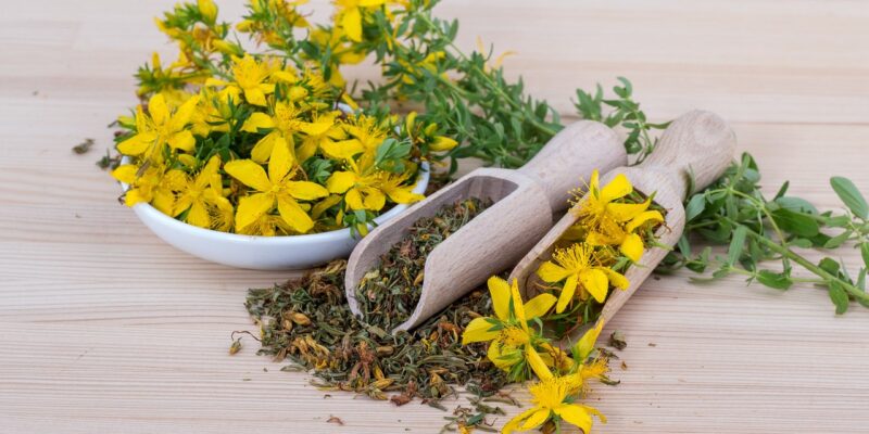 Plantele medicinale ale lunii august