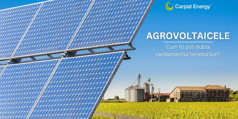 Agrovoltaicele – cum îți pot dubla randamentul terenurilor
