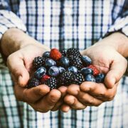Fructele de pădure – cum le adaptezi la grădina ta