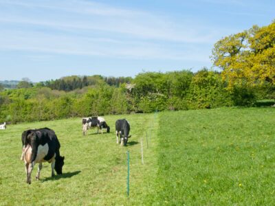 Gardul electric: o soluție eficientă și accesibilă pentru protejarea culturilor și animalelor