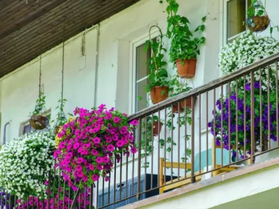 Petunii spectaculoase: trucuri de plantare și udare pentru flori bogate