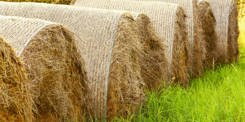 Importanța alegerii unei sfori de balotat rezistente pentru eficiența lucrărilor agricole