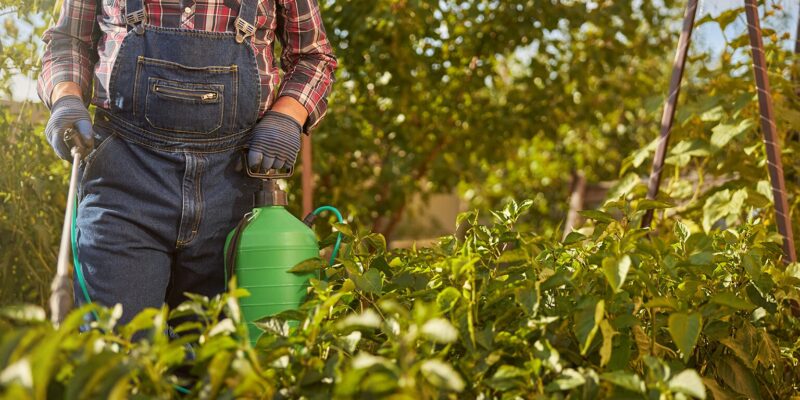 Tot ce trebuie să știi despre erbicide – ghid pentru fermieri